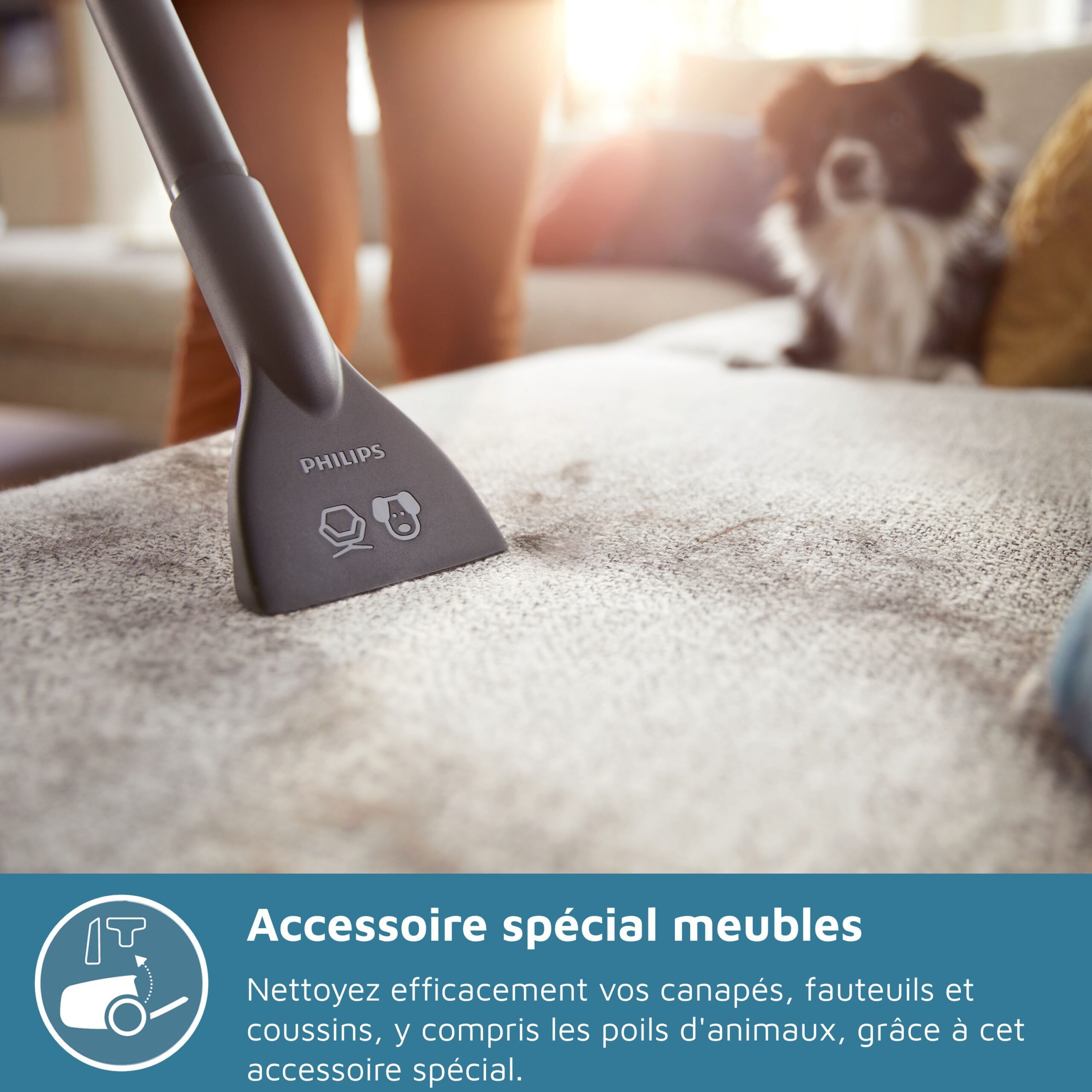 Aspirateur sans sac - PHILIPS - XB2123/09 - Série 2000 PowerCyclone 4 - 850W - Bleu/rose – Image 3