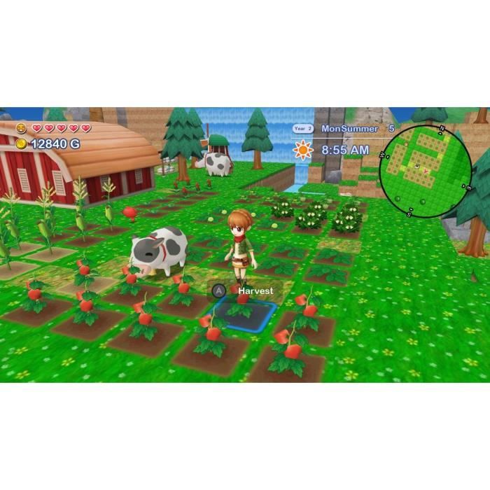 Harvest Moon The Lost Valley + Skytree Village - Edition Collector - Jeu Nintendo Switch – Image 3