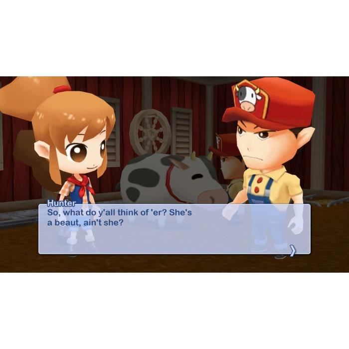 Harvest Moon The Lost Valley + Skytree Village - Edition Collector - Jeu Nintendo Switch – Image 4