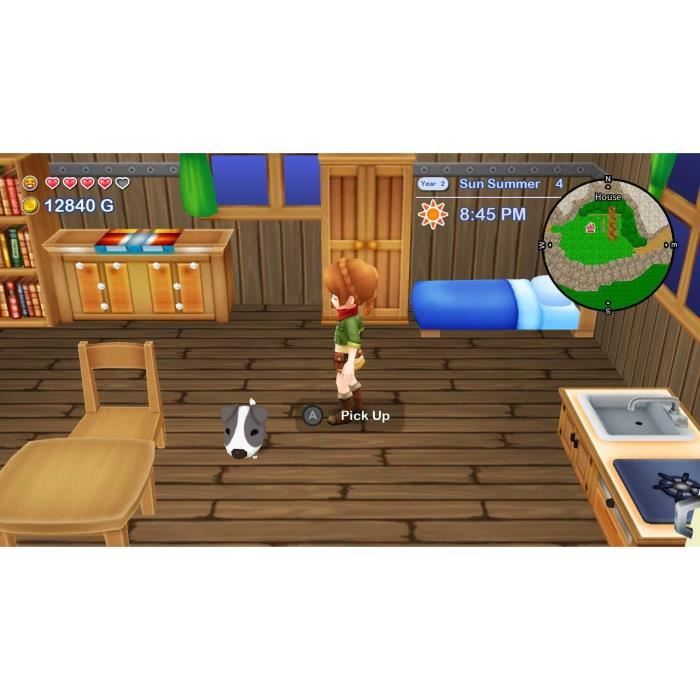Harvest Moon The Lost Valley + Skytree Village - Jeu Nintendo Switch – Image 8