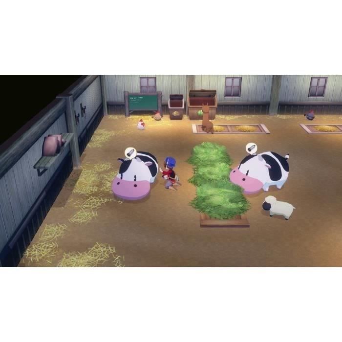 Story of Seasons : Grand Bazaar - Jeu Nintendo Switch - Edition limitée – Image 3