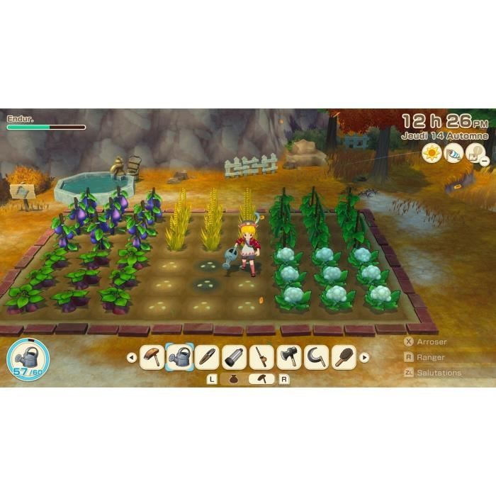 Story of Seasons : Grand Bazaar - Jeu Nintendo Switch - Edition limitée – Image 4